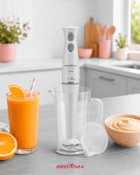 HAND BLENDER RAF R.793 2 EN 1 800W 2EN 1